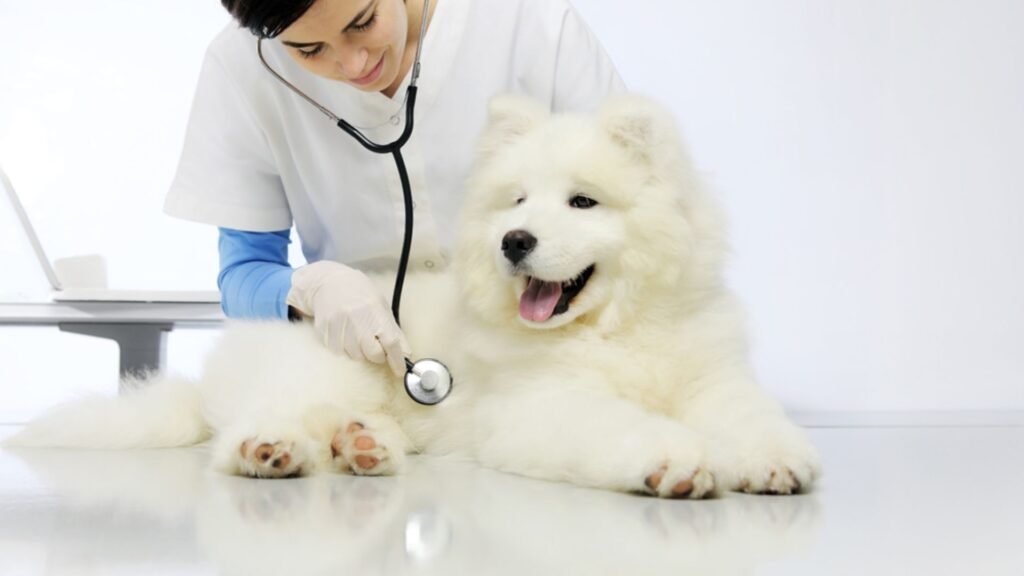Dental Care Mistakes