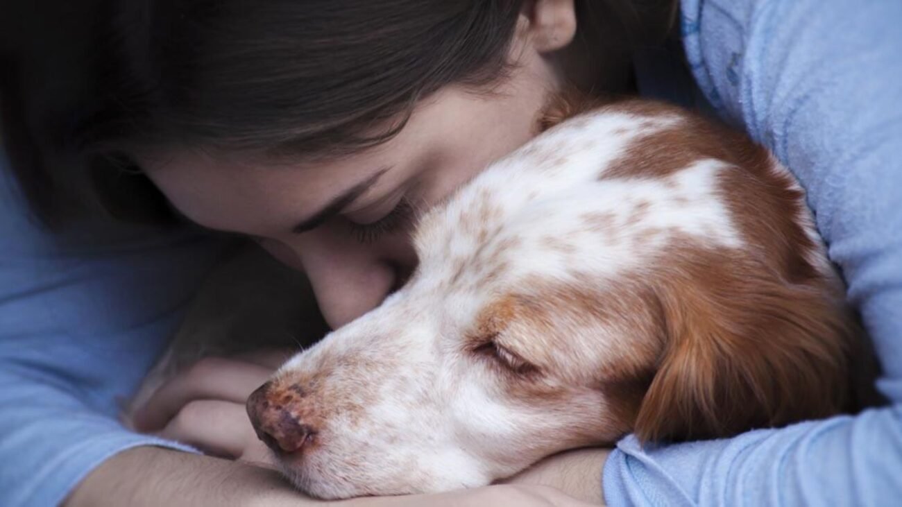 Is Blowing in a Dog’s Nose Bad? What Vets Say About This Controversial Habit