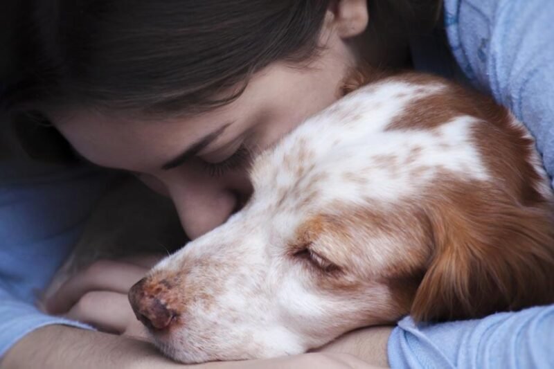 Is Blowing in a Dog’s Nose Bad? What Vets Say About This Controversial Habit