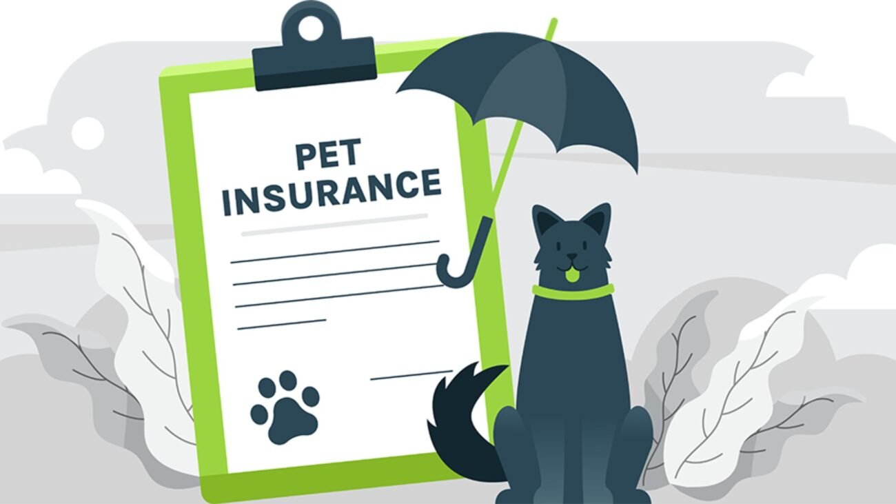 Cheap Dog Insurance for Multiple Pets: 5 Affordable Plans Compared (2024)
