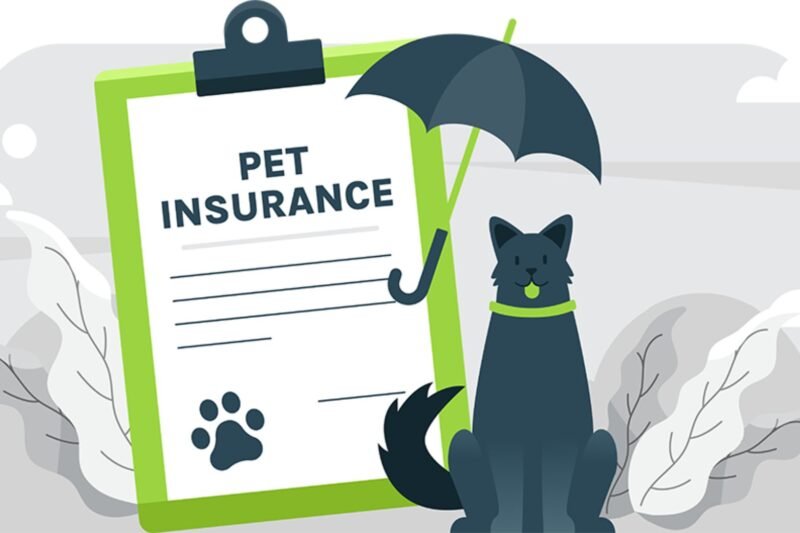 Cheap Dog Insurance for Multiple Pets: 5 Affordable Plans Compared (2024)
