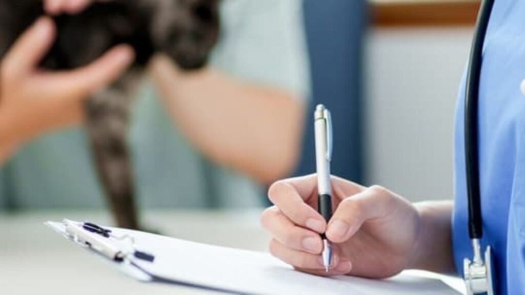 How to Get a Dog Health Certificate: A Step-by-Step Guide
