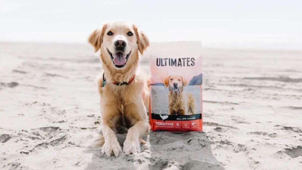 Best Hypoallergenic Dog Food Brands for Sensitive Stomachs